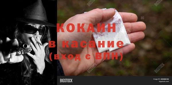 прущие крисы Ельня