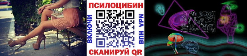 купить наркотик  Луховицы  Псилоцибиновые грибы Cubensis 