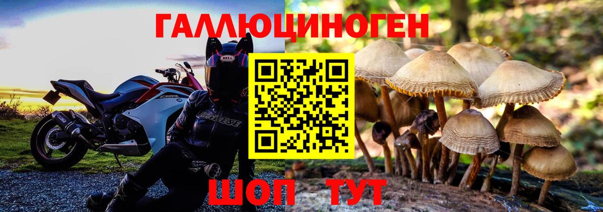 Псилоцибиновые грибы прущие грибы Луховицы