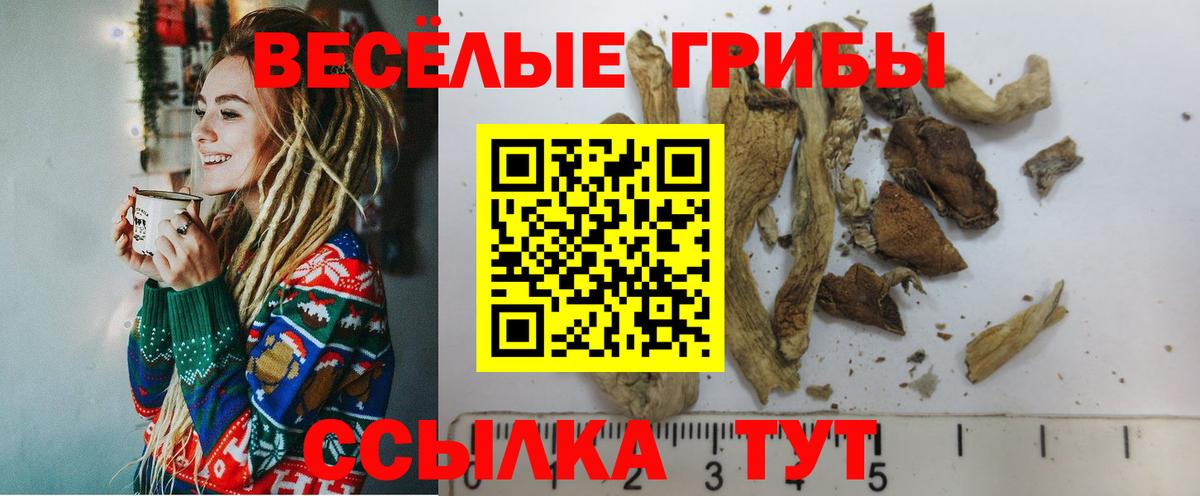 Псилоцибиновые грибы прущие грибы  Галлюциногенные грибы Psilocybe  Вход с VPN  Луховицы 